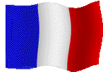 Version Fran&ccedil;aise